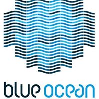 Ericeira Blue Ocean Surf School & Rentals